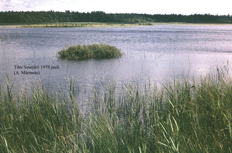 Maakond: Hiiumaa Veekogu nimi: Tihu Suurjärv Pildistamise aeg: juuli 1978 Pildistaja: A. Mäemets Pildistamise koht: teadmata Asimuut: