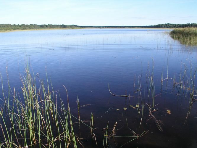 Maakond: Hiiumaa Veekogu nimi: Tihu Suurjärv Pildistamise aeg: august 2005 Pildistaja: H. Timm Pildistamise koht: teadmata Asimuut: