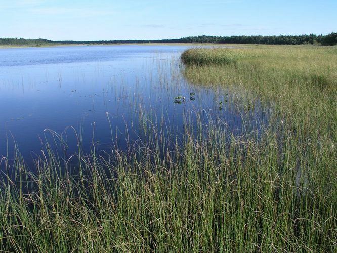 Maakond: Hiiumaa Veekogu nimi: Tihu Suurjärv Pildistamise aeg: august 2005 Pildistaja: H. Timm Pildistamise koht: teadmata Asimuut: