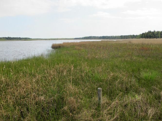 Maakond: Hiiumaa Veekogu nimi: Tihu Suurjärv Pildistamise aeg: 21. mai 2012 Pildistaja: H. Timm Pildistamise koht: teadmata Asimuut: