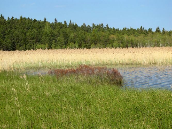 Maakond: Hiiumaa Veekogu nimi: Tihu Suurjärv Pildistamise aeg: 21. mai 2012 Pildistaja: H. Timm Pildistamise koht: teadmata Asimuut: