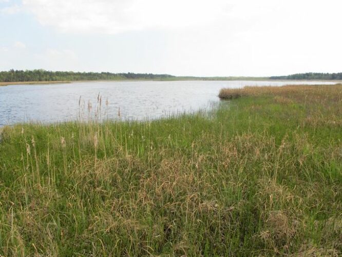 Maakond: Hiiumaa Veekogu nimi: Tihu Suurjärv Pildistamise aeg: 21. mai 2012 Pildistaja: H. Timm Pildistamise koht: teadmata Asimuut: