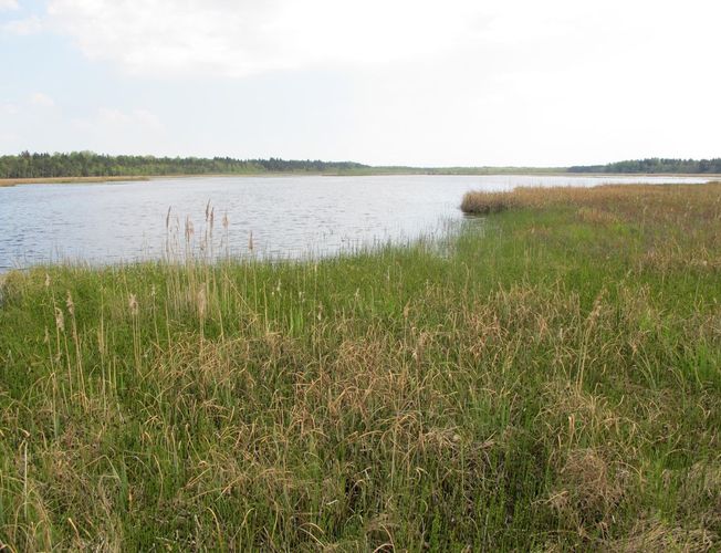 Maakond: Hiiumaa Veekogu nimi: Tihu Suurjärv Pildistamise aeg: 21. mai 2012 Pildistaja: H. Timm Pildistamise koht: teadmata Asimuut: