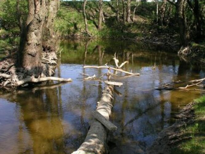 Maakond: Harjumaa Veekogu nimi: Tiskre oja Pildistamise aeg: 14. mai 2009 Pildistaja: H. Timm Pildistamise koht: teadmata Asimuut: