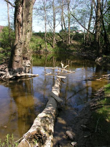 Maakond: Harjumaa Veekogu nimi: Tiskre oja Pildistamise aeg: 14. mai 2009 Pildistaja: H. Timm Pildistamise koht: teadmata Asimuut: