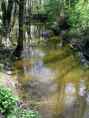 Maakond: Harjumaa Veekogu nimi: Tiskre oja Pildistamise aeg: 14. mai 2009 Pildistaja: H. Timm Pildistamise koht: sillast ülalpool Asimuut: