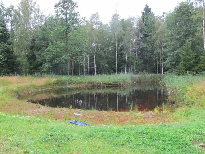 Maakond: Hiiumaa Veekogu nimi: Tõrvaahju talu tiik Pildistamise aeg: 4. august 2012 Pildistaja: H. Timm Pildistamise koht: teadmata Asimuut: