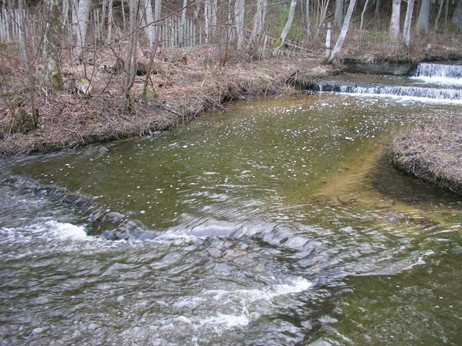 Maakond: Harjumaa Veekogu nimi: Treppoja Pildistamise aeg: 19. aprill 2006 Pildistaja: H. Timm Pildistamise koht: teadmata Asimuut: