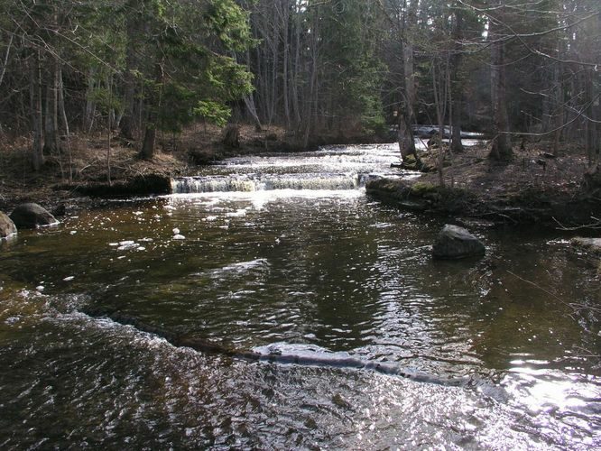 Maakond: Harjumaa Veekogu nimi: Treppoja Pildistamise aeg: 19. aprill 2006 Pildistaja: H. Timm Pildistamise koht: teadmata Asimuut: