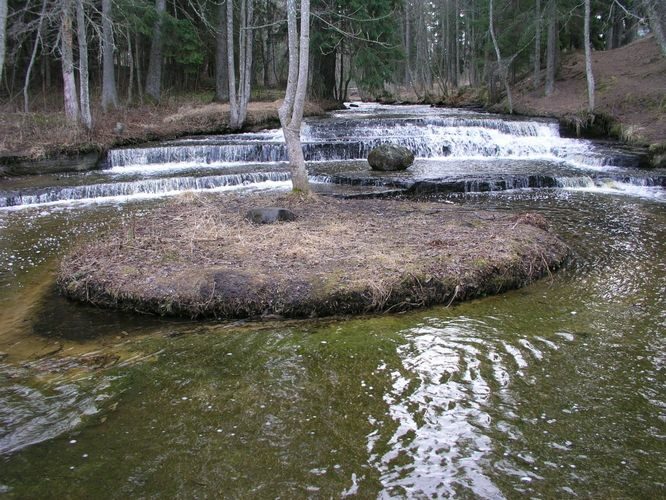 Maakond: Harjumaa Veekogu nimi: Treppoja Pildistamise aeg: 19. aprill 2006 Pildistaja: H. Timm Pildistamise koht: teadmata Asimuut: