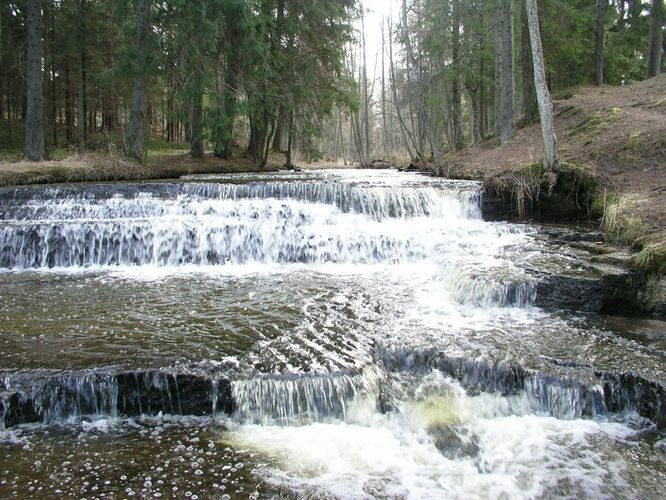 Maakond: Harjumaa Veekogu nimi: Treppoja Pildistamise aeg: 19. aprill 2006 Pildistaja: H. Timm Pildistamise koht: teadmata Asimuut: