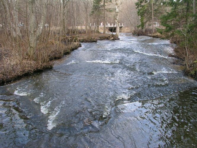 Maakond: Harjumaa Veekogu nimi: Treppoja Pildistamise aeg: 19. aprill 2006 Pildistaja: H. Timm Pildistamise koht: teadmata Asimuut: