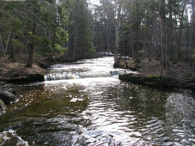 Maakond: Harjumaa Veekogu nimi: Treppoja Pildistamise aeg: 19. aprill 2006 Pildistaja: H. Timm Pildistamise koht: teadmata Asimuut: