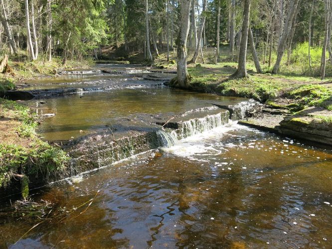 Maakond: Harjumaa Veekogu nimi: Treppoja Pildistamise aeg: 28. aprill 2014 Pildistaja: H. Timm Pildistamise koht: teadmata Asimuut: