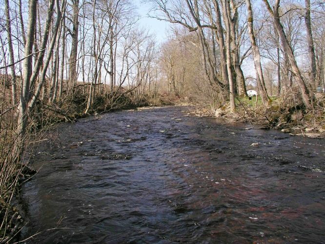 Maakond: Harjumaa Veekogu nimi: Tuhala jõgi Pildistamise aeg: 27. aprill 2004 Pildistaja: H. Timm Pildistamise koht: Tuhala Asimuut: