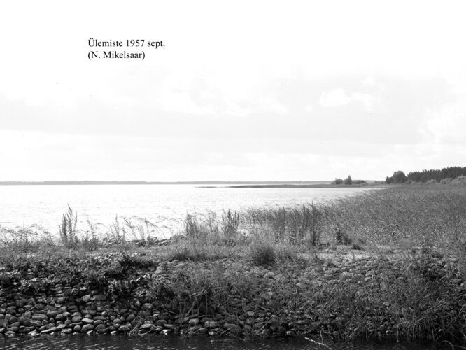 Maakond: Harjumaa Veekogu nimi: Ülemiste järv Pildistamise aeg: september 1957 Pildistaja: N. Mikelsaar Pildistamise koht: teadmata Asimuut: