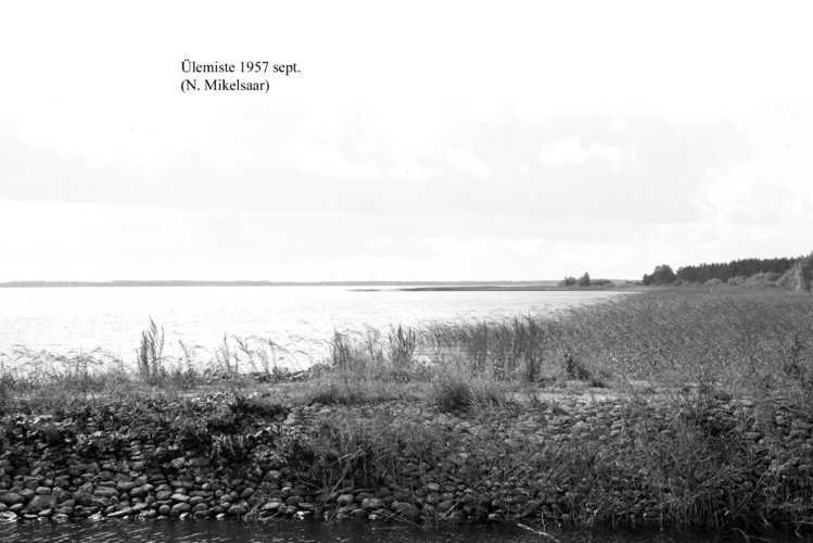 Maakond: Harjumaa Veekogu nimi: Ülemiste järv Pildistamise aeg: september 1957 Pildistaja: N. Mikelsaar Pildistamise koht: teadmata Asimuut: