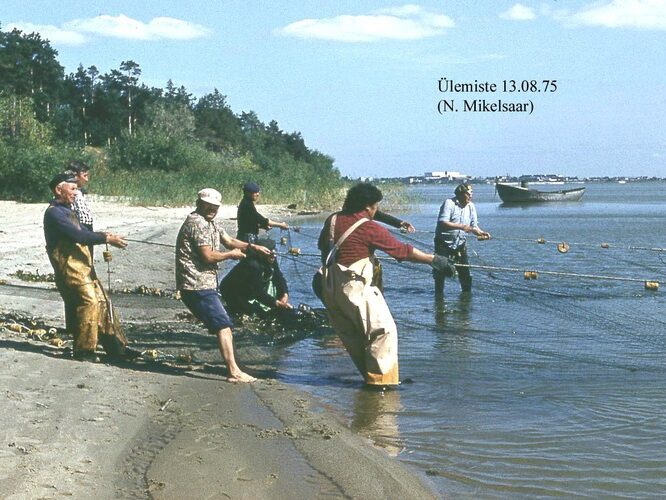 Maakond: Harjumaa Veekogu nimi: Ülemiste järv Pildistamise aeg: 13. august 1975 Pildistaja: N. Mikelsaar Pildistamise koht: teadmata Asimuut: