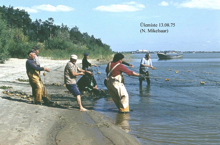 Maakond: Harjumaa Veekogu nimi: Ülemiste järv Pildistamise aeg: 13. august 1975 Pildistaja: N. Mikelsaar Pildistamise koht: teadmata Asimuut: