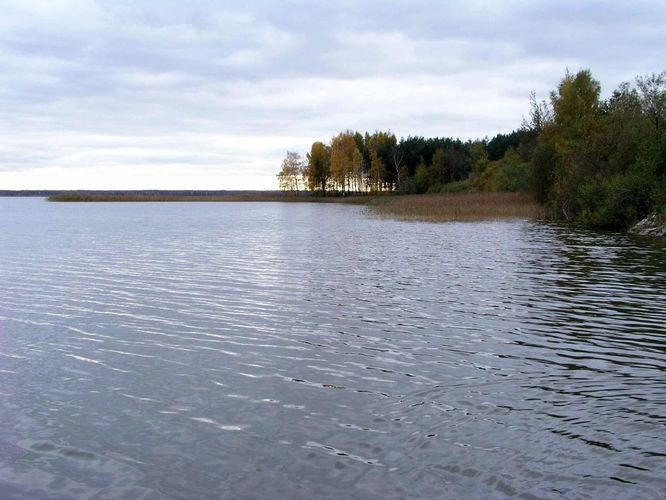 Maakond: Harjumaa Veekogu nimi: Ülemiste järv Pildistamise aeg: 12. oktoober 2004 Pildistaja: H. Timm Pildistamise koht: vaade VPJst Asimuut: