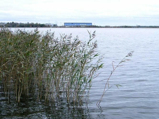 Maakond: Harjumaa Veekogu nimi: Ülemiste järv Pildistamise aeg: 12. oktoober 2004 Pildistaja: H. Timm Pildistamise koht: vaade VPJst lennujaamale Asimuut: