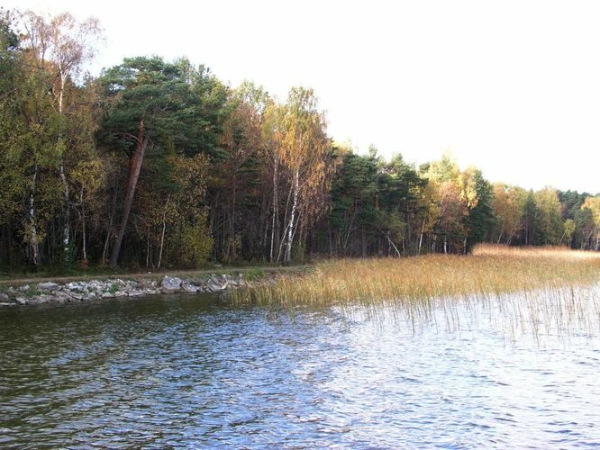 Maakond: Harjumaa Veekogu nimi: Ülemiste järv Pildistamise aeg: oktoober 2005 Pildistaja: H. Timm Pildistamise koht: teadmata Asimuut: