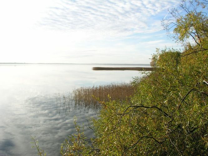 Maakond: Harjumaa Veekogu nimi: Ülemiste järv Pildistamise aeg: oktoober 2005 Pildistaja: H. Timm Pildistamise koht: teadmata Asimuut: