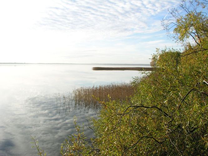 Maakond: Harjumaa Veekogu nimi: Ülemiste järv Pildistamise aeg: oktoober 2005 Pildistaja: H. Timm Pildistamise koht: teadmata Asimuut: