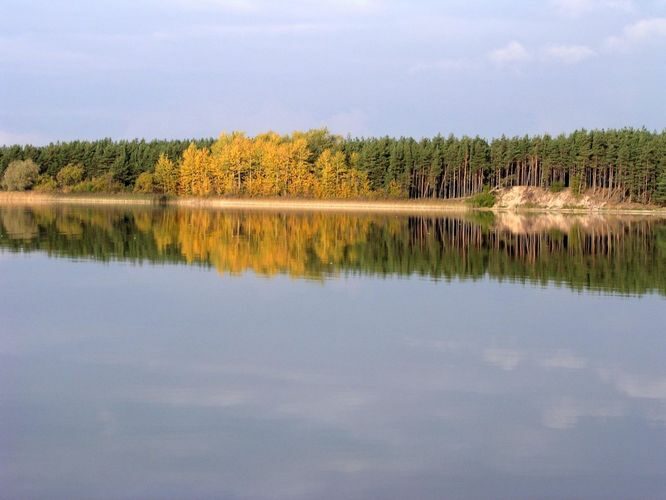 Maakond: Harjumaa Veekogu nimi: Ülemiste järv Pildistamise aeg: 12. oktoober 2006 Pildistaja: H. Timm Pildistamise koht: teadmata Asimuut: