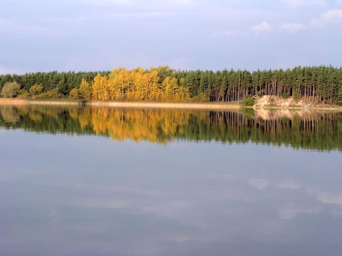 Maakond: Harjumaa Veekogu nimi: Ülemiste järv Pildistamise aeg: 12. oktoober 2006 Pildistaja: H. Timm Pildistamise koht: teadmata Asimuut: