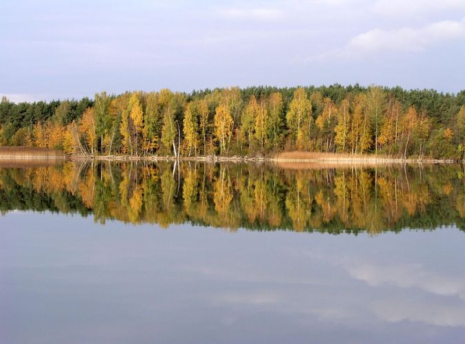 Maakond: Harjumaa Veekogu nimi: Ülemiste järv Pildistamise aeg: 12. oktoober 2006 Pildistaja: H. Timm Pildistamise koht: teadmata Asimuut: