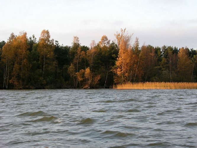 Maakond: Harjumaa Veekogu nimi: Ülemiste järv Pildistamise aeg: 16. oktoober 2009 Pildistaja: H. Timm Pildistamise koht: teadmata Asimuut: