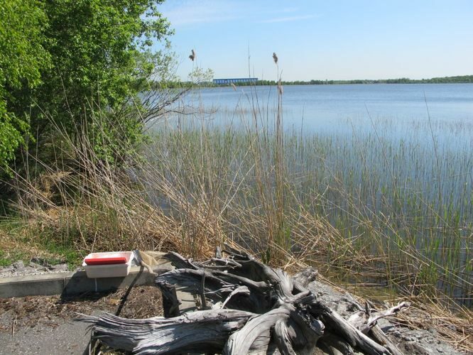 Maakond: Harjumaa Veekogu nimi: Ülemiste järv Pildistamise aeg: 25. mai 2012 Pildistaja: H. Timm Pildistamise koht: veepuhastusjaama sadamast Asimuut: