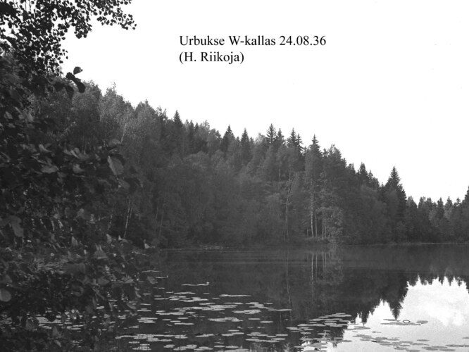 Maakond: Harjumaa Veekogu nimi: Urbukse järv Pildistamise aeg: 24. august 1936 Pildistaja: H. Riikoja Pildistamise koht: W kallas Asimuut: