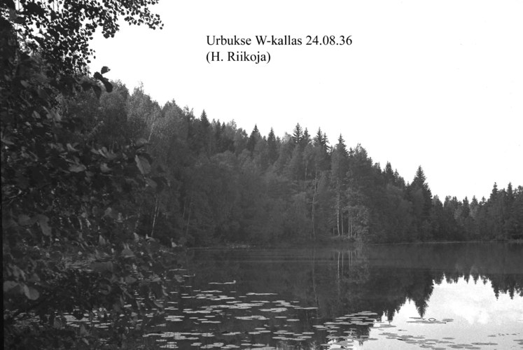 Maakond: Harjumaa Veekogu nimi: Urbukse järv Pildistamise aeg: 24. august 1936 Pildistaja: H. Riikoja Pildistamise koht: W kallas Asimuut: