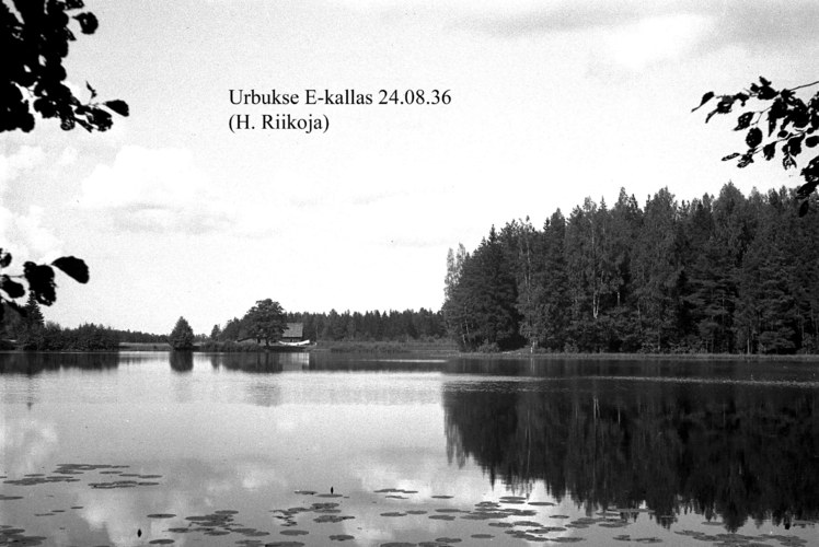 Maakond: Harjumaa Veekogu nimi: Urbukse järv Pildistamise aeg: 24. august 1936 Pildistaja: H. Riikoja Pildistamise koht: E kallas Asimuut: