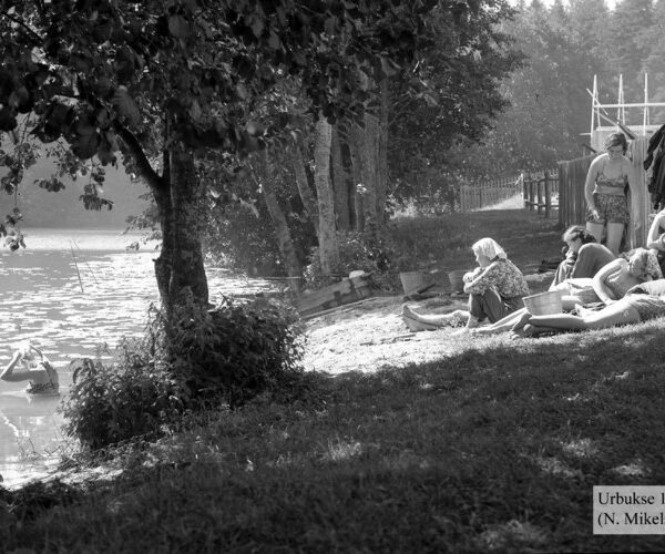 Maakond: Harjumaa Veekogu nimi: Urbukse järv Pildistamise aeg: august 1957 Pildistaja: N. Mikelsaar Pildistamise koht: teadmata Asimuut: