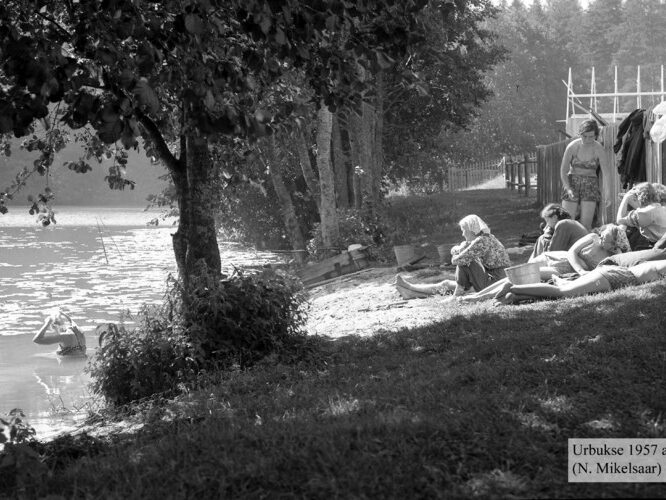 Maakond: Harjumaa Veekogu nimi: Urbukse järv Pildistamise aeg: august 1957 Pildistaja: N. Mikelsaar Pildistamise koht: teadmata Asimuut: