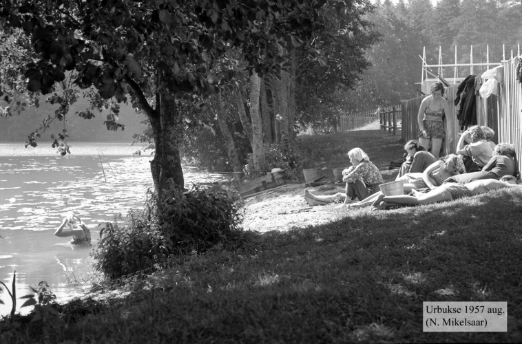 Maakond: Harjumaa Veekogu nimi: Urbukse järv Pildistamise aeg: august 1957 Pildistaja: N. Mikelsaar Pildistamise koht: teadmata Asimuut: