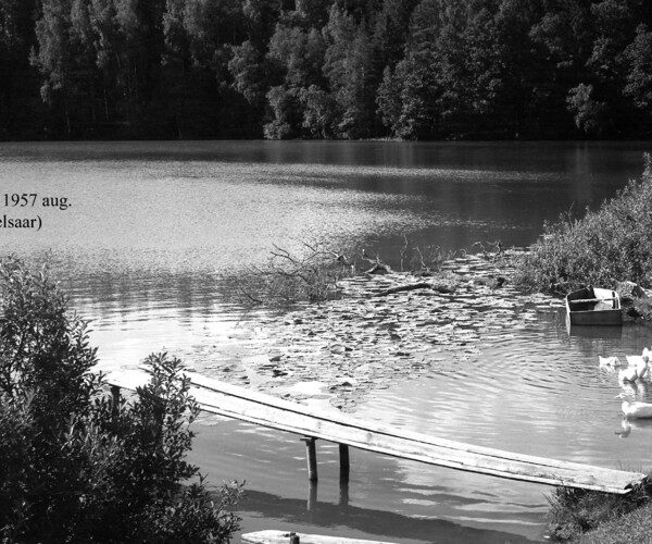 Maakond: Harjumaa Veekogu nimi: Urbukse järv Pildistamise aeg: august 1957 Pildistaja: N. Mikelsaar Pildistamise koht: teadmata Asimuut:
