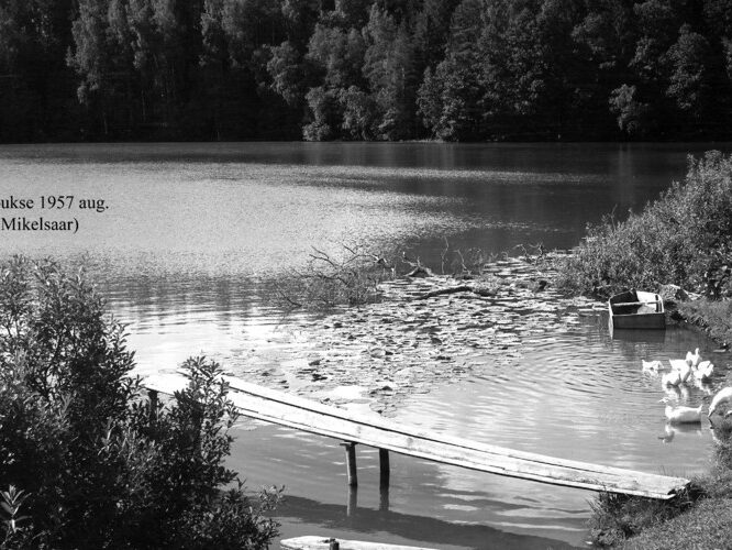 Maakond: Harjumaa Veekogu nimi: Urbukse järv Pildistamise aeg: august 1957 Pildistaja: N. Mikelsaar Pildistamise koht: teadmata Asimuut: