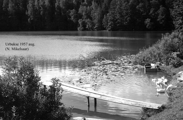 Maakond: Harjumaa Veekogu nimi: Urbukse järv Pildistamise aeg: august 1957 Pildistaja: N. Mikelsaar Pildistamise koht: teadmata Asimuut: