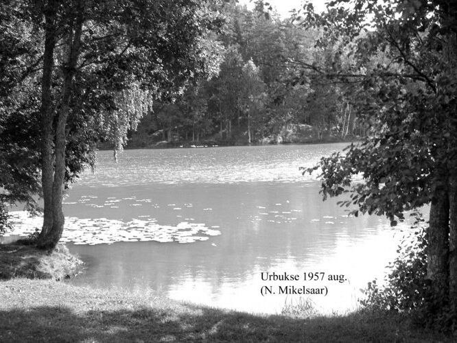 Maakond: Harjumaa Veekogu nimi: Urbukse järv Pildistamise aeg: august 1957 Pildistaja: N. Mikelsaar Pildistamise koht: teadmata Asimuut: