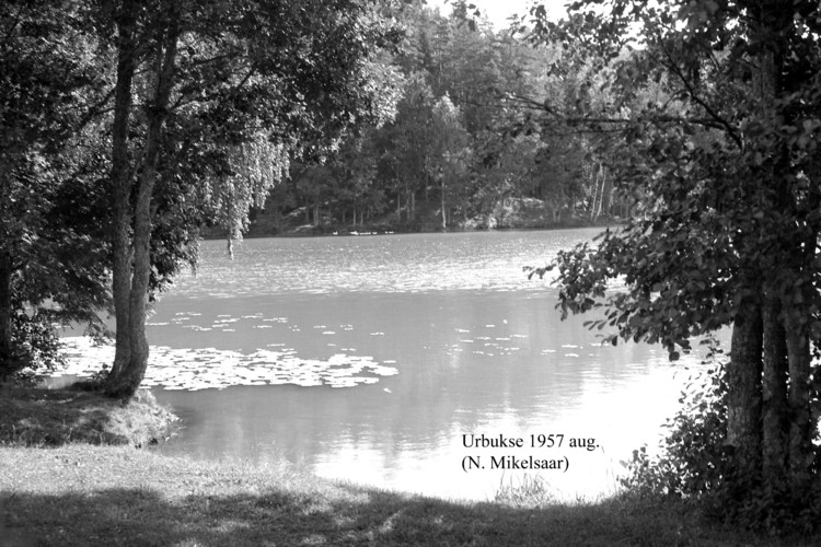 Maakond: Harjumaa Veekogu nimi: Urbukse järv Pildistamise aeg: august 1957 Pildistaja: N. Mikelsaar Pildistamise koht: teadmata Asimuut: