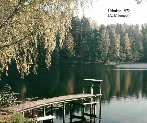 Maakond: Harjumaa Veekogu nimi: Urbukse järv Pildistamise aeg: 1972 Pildistaja: A. Mäemets Pildistamise koht: teadmata Asimuut: