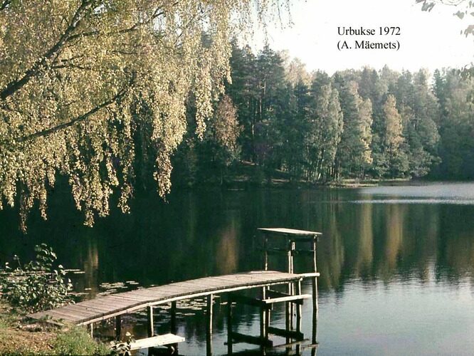 Maakond: Harjumaa Veekogu nimi: Urbukse järv Pildistamise aeg: 1972 Pildistaja: A. Mäemets Pildistamise koht: teadmata Asimuut: