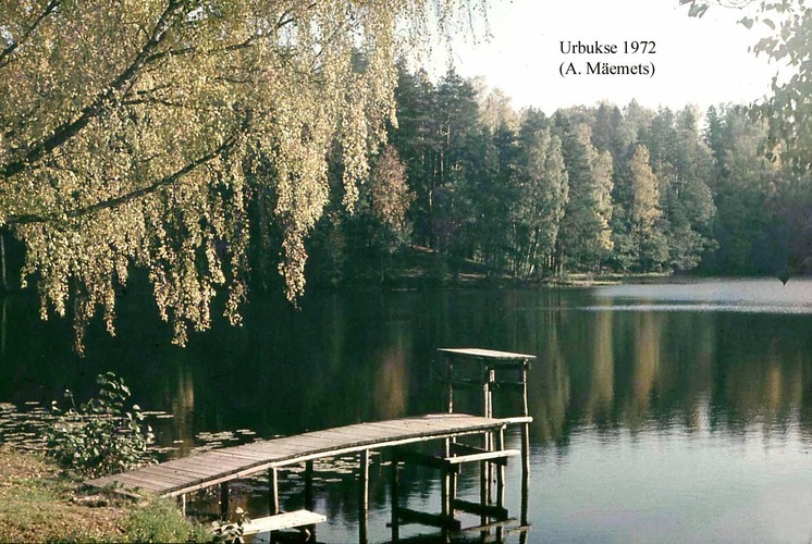 Maakond: Harjumaa Veekogu nimi: Urbukse järv Pildistamise aeg: 1972 Pildistaja: A. Mäemets Pildistamise koht: teadmata Asimuut: