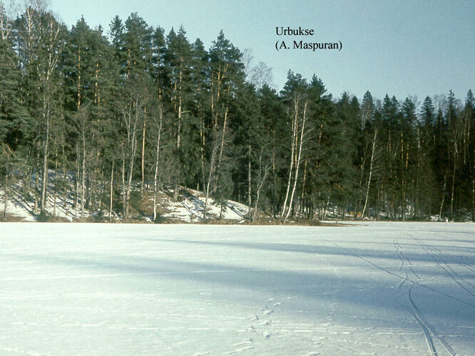 Maakond: Harjumaa Veekogu nimi: Urbukse järv Pildistamise aeg: teadmata Pildistaja: A. Maspuran Pildistamise koht: talvel Asimuut: