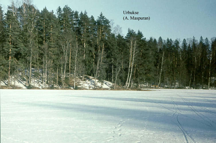 Maakond: Harjumaa Veekogu nimi: Urbukse järv Pildistamise aeg: teadmata Pildistaja: A. Maspuran Pildistamise koht: talvel Asimuut: