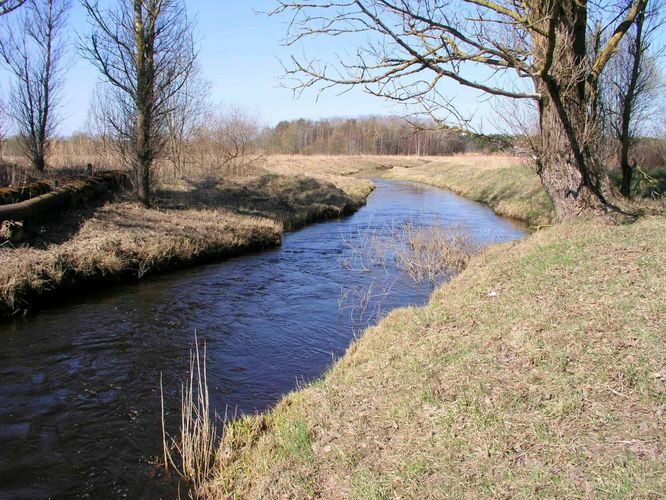 Maakond: Harjumaa Veekogu nimi: Vääna jõgi Pildistamise aeg: 27. aprill 2004 Pildistaja: H. Timm Pildistamise koht: Pärnu mnt. Asimuut: